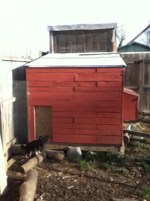 42605_dannys_ipod_108.jpg