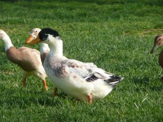 42881_family_pics_515.jpg