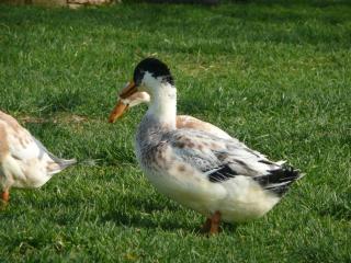 42881_family_pics_517.jpg