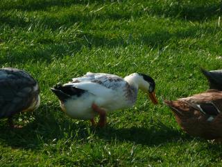 42881_family_pics_583.jpg