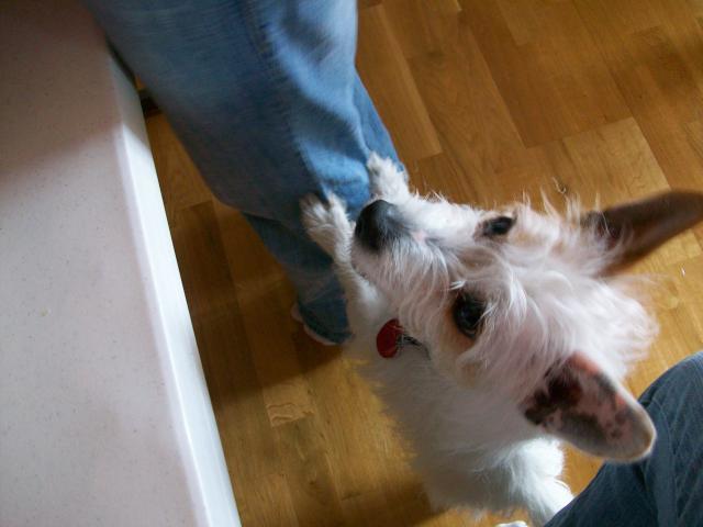 42981_1676.jpg