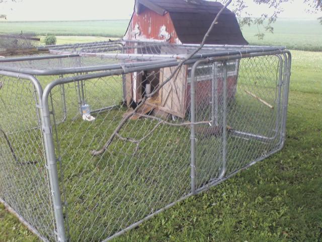 43009_chicken_coop.jpg