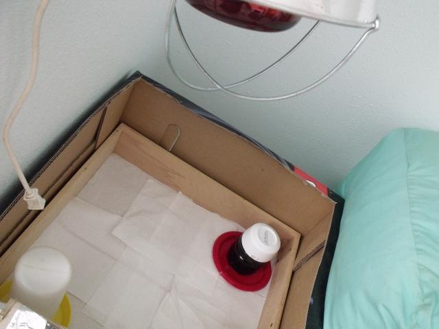 43024_dscf1556.jpg