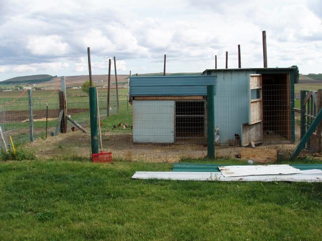 43030_chickencoop_before_001.jpg