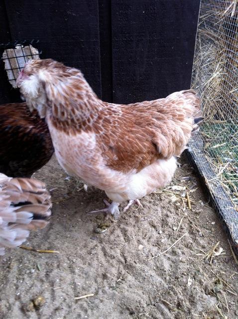 4305_img_0498.jpeg