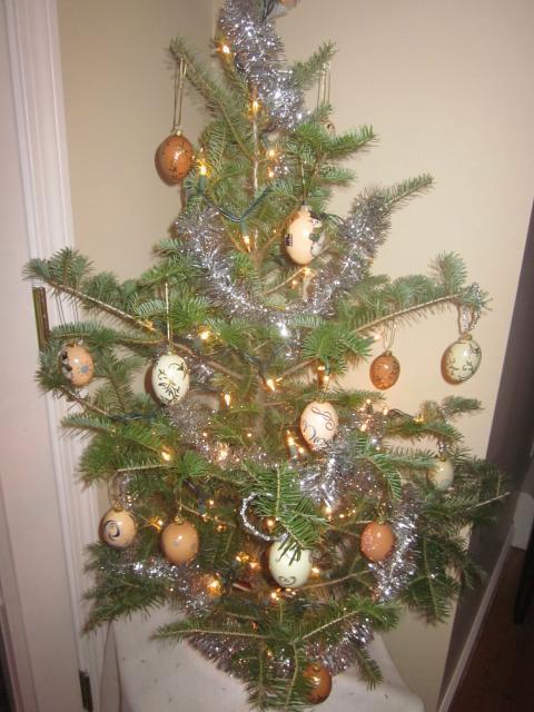 43104_12-15-10_egg_tree.jpg