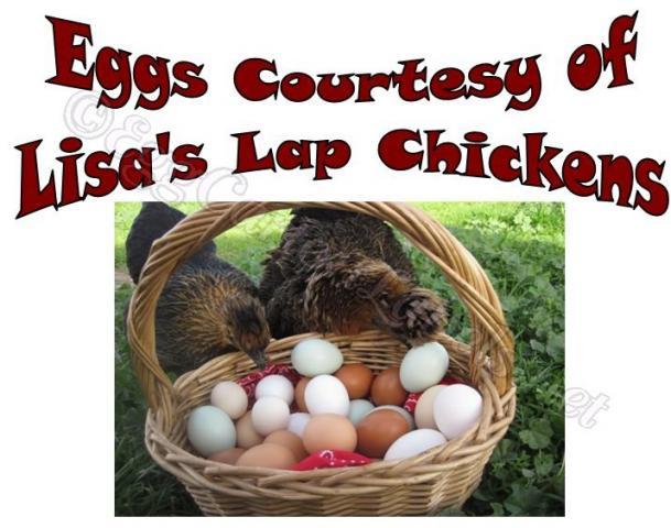 43104_5f_lisas_lap_chickens.jpg