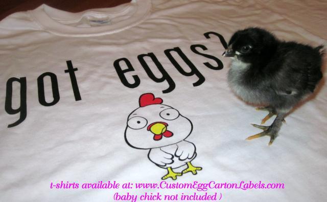 43104_7-11-11_got_eggs_tshirts_wchick_1.jpg