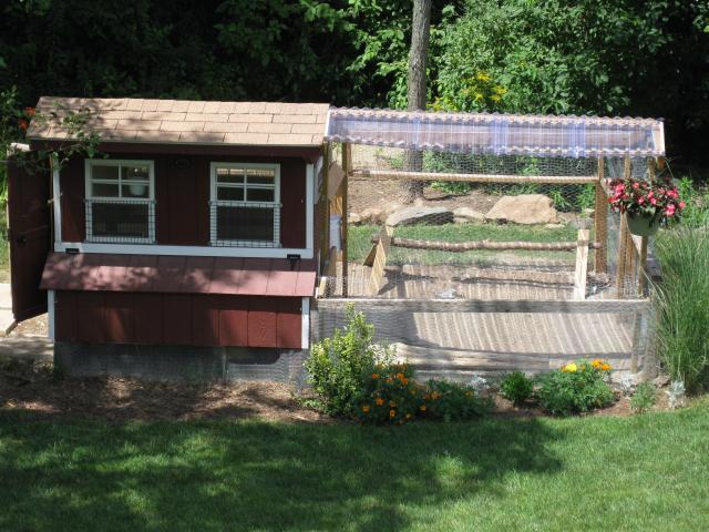 43104_7-26-10_coop.jpg