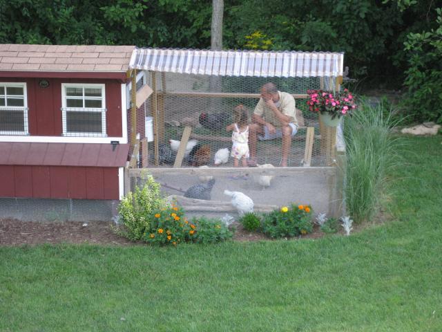43104_7-27-10_5.jpg