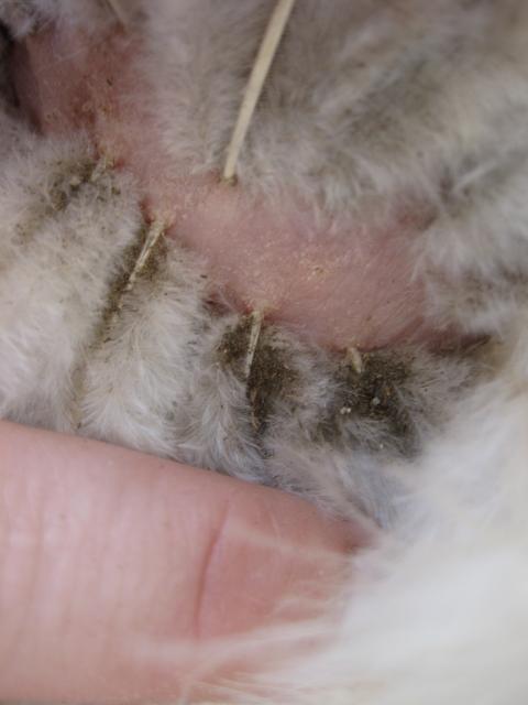 43104_8-8-10_8.jpg