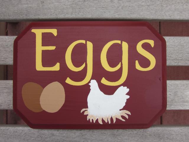 43104_9-13-10_eggs_sign_wheneggs.jpg