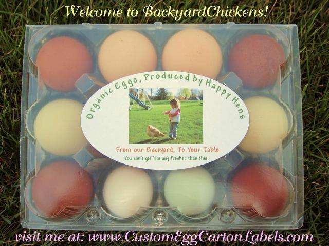 43104_byc_welcome_photo_eggs_in_carton.jpg