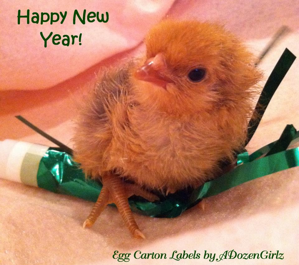 43104_happy_new_year_2012.jpg