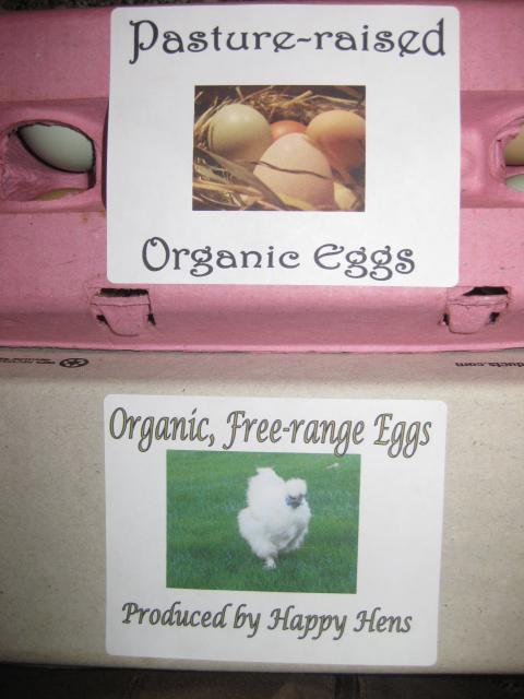 43104_organic_eggs_labels_on_cartonsjpg.jpg