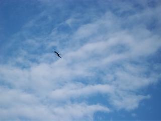 43136_cruise_vaca_10-2010_115.jpg
