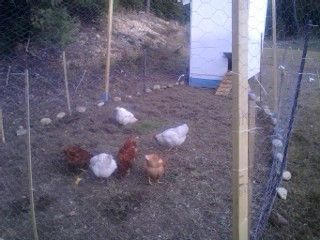 43155_camera_oct_001.jpg