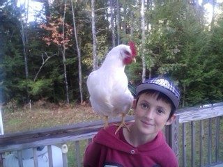 43155_camera_oct_007.jpg