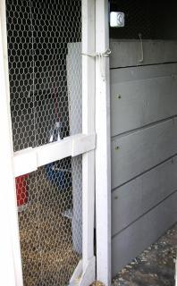 43287_pict1768.jpg