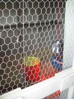 43287_pict1769.jpg