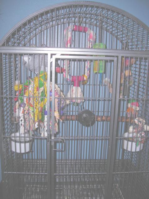 43331_cage1.jpg