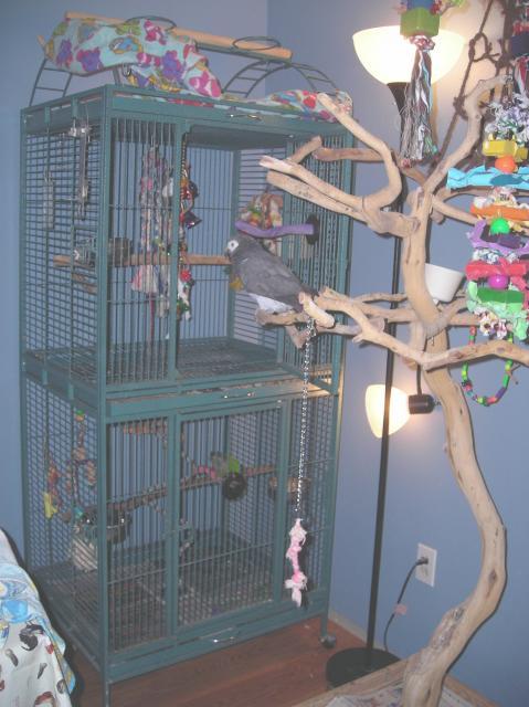 43331_cage3.jpg