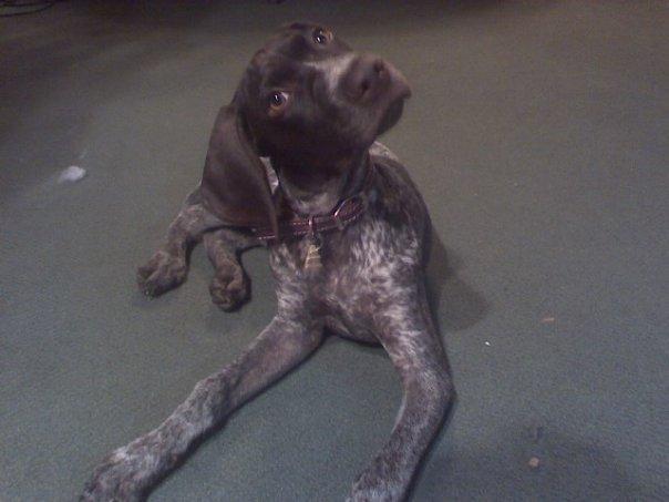 43379_sawyer-being_goofy.jpg