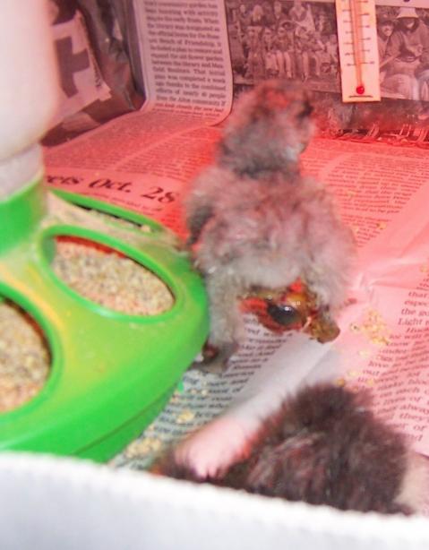 43440_100_3873.jpg