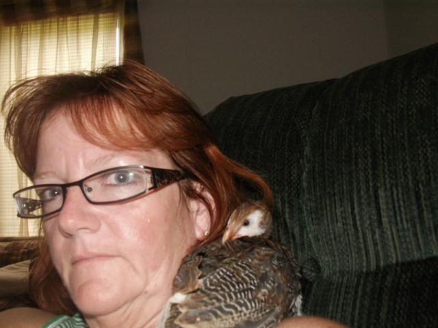43560_nest_babies_027.jpg