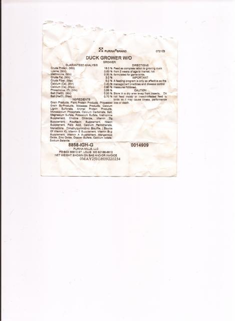 43749_duck_chow_tagtif.jpg