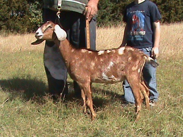 4388_dsc00311.jpg