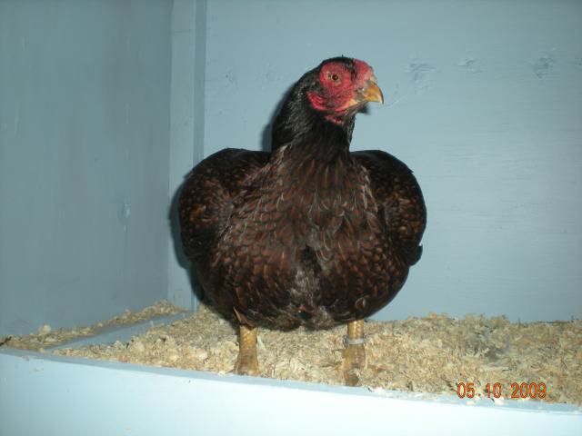 44012_dscn0397.jpg