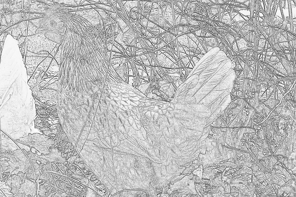 44049_121211_kella_pow_2.jpg