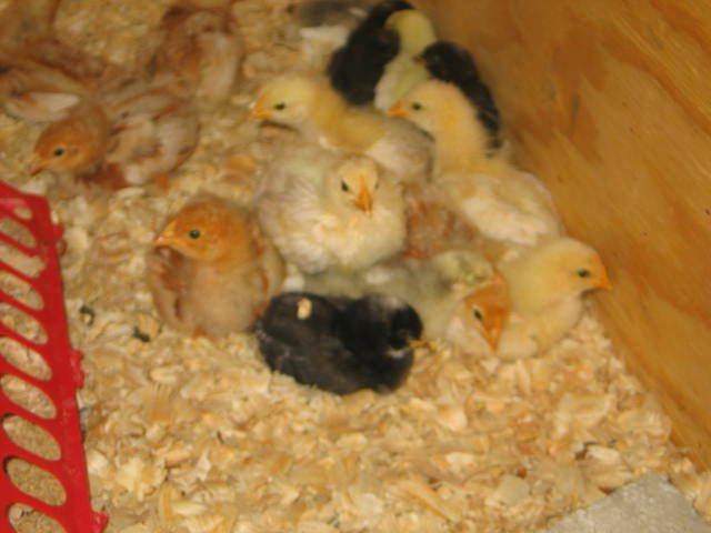 44050_2-14-10_407.jpg