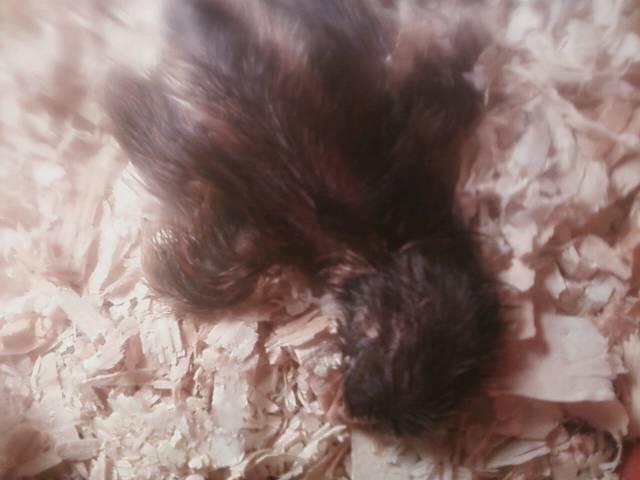 44123_0302111830_01.jpeg