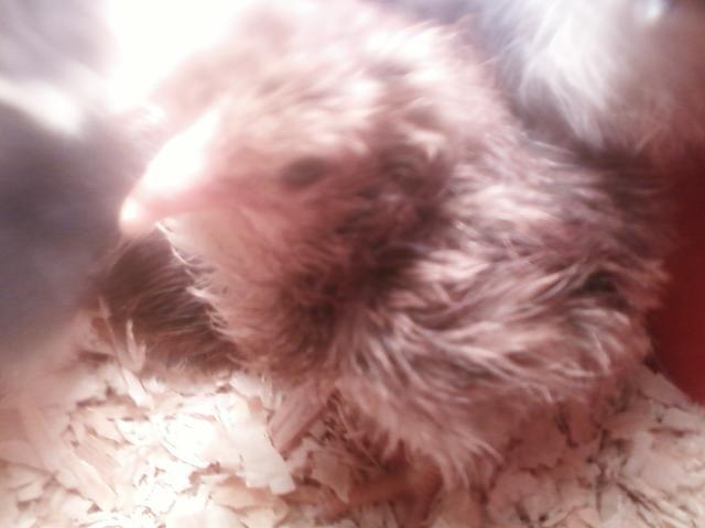 44123_0302111831.jpeg
