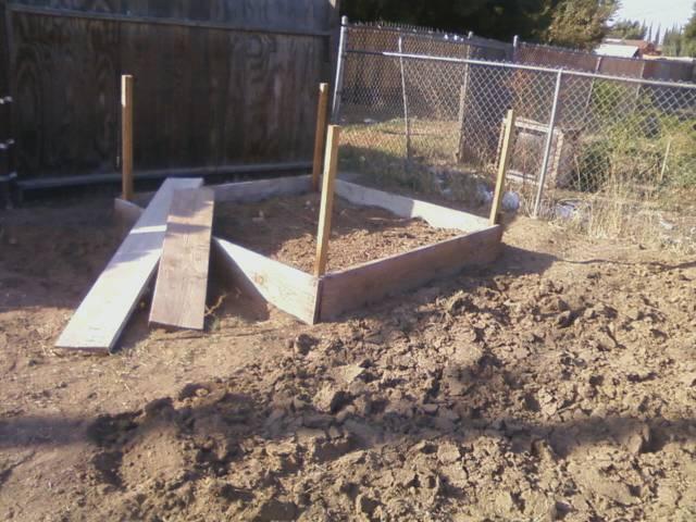 44123_first_raised_bed.jpeg