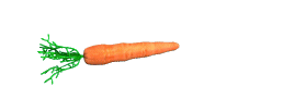 44131_carrotspin.gif