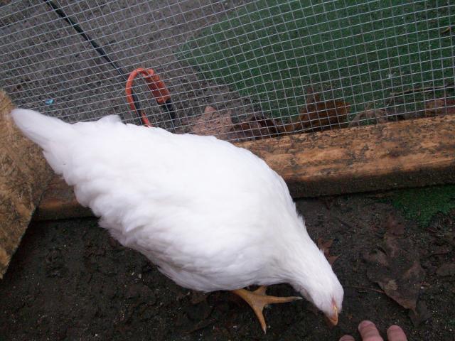 44131_tweet_glad_005.jpg