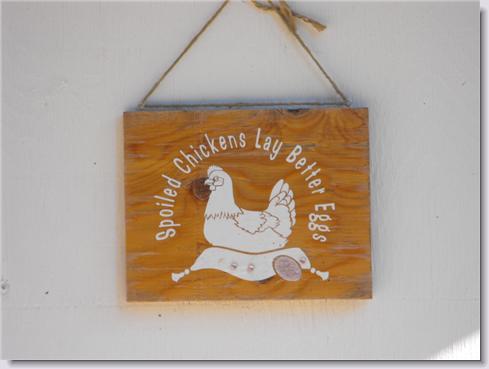 44142_chickens_1.jpg