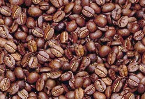 44142_coffe-bean-man1.jpg