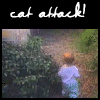 44142_cute-funny-kitten-attacks-baby-flash-clip2.gif