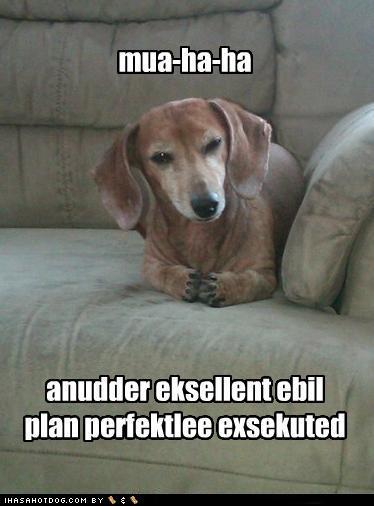 44142_funnypic25.jpg