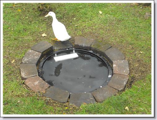 44142_pond6.jpg