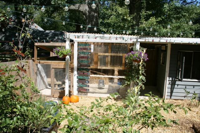 44332_chicken_coop_tour_155.jpg