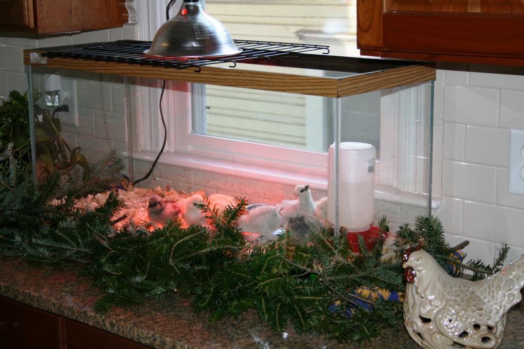 44332_img_7891.jpg