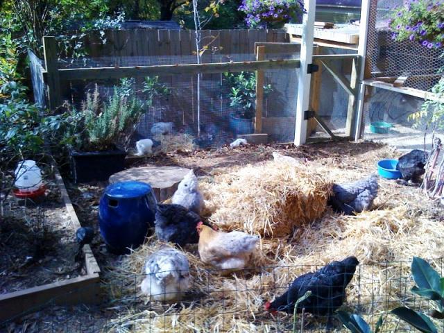 44332_photo100.jpg