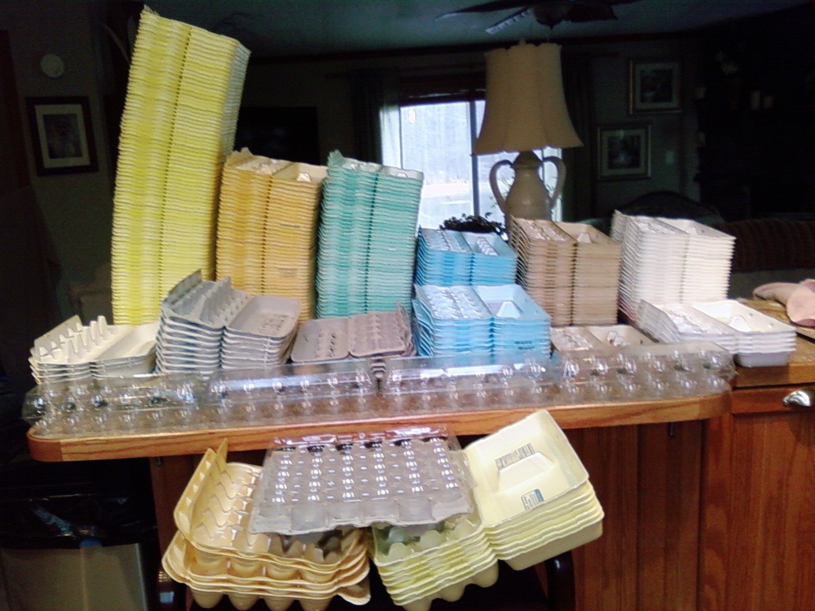 44342_egg_cartons_-_new_002.jpg