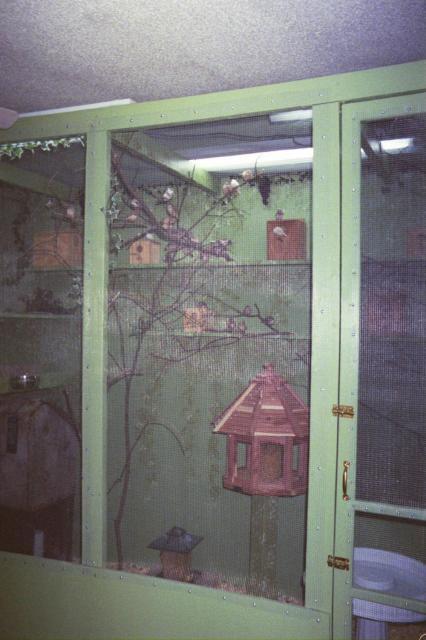 44342_finch_aviary2_2006.jpg