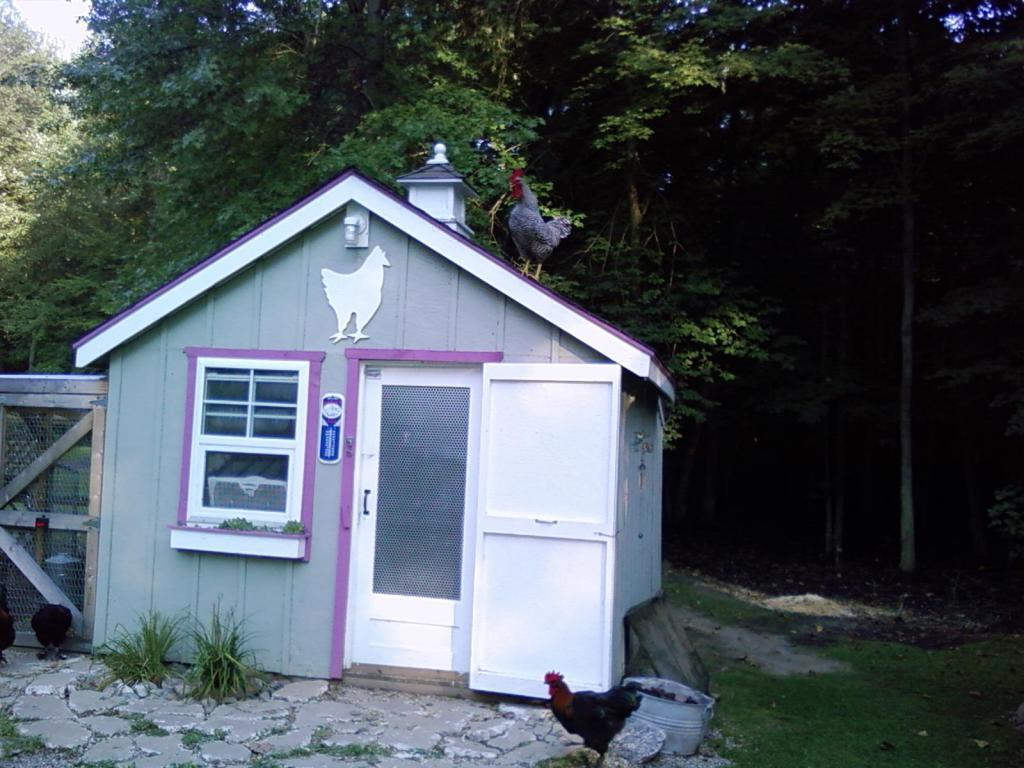 44342_joe_on_roof_003.jpg